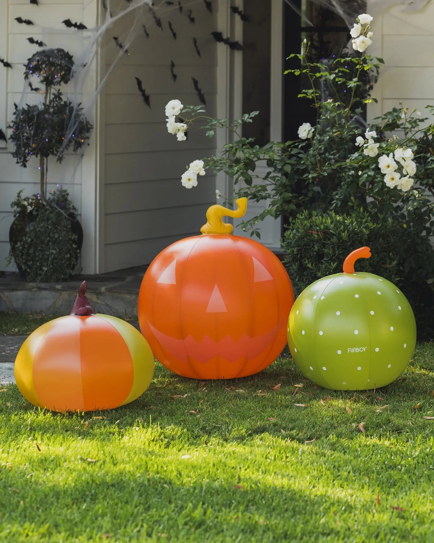 Colorful Halloween Pumpkins