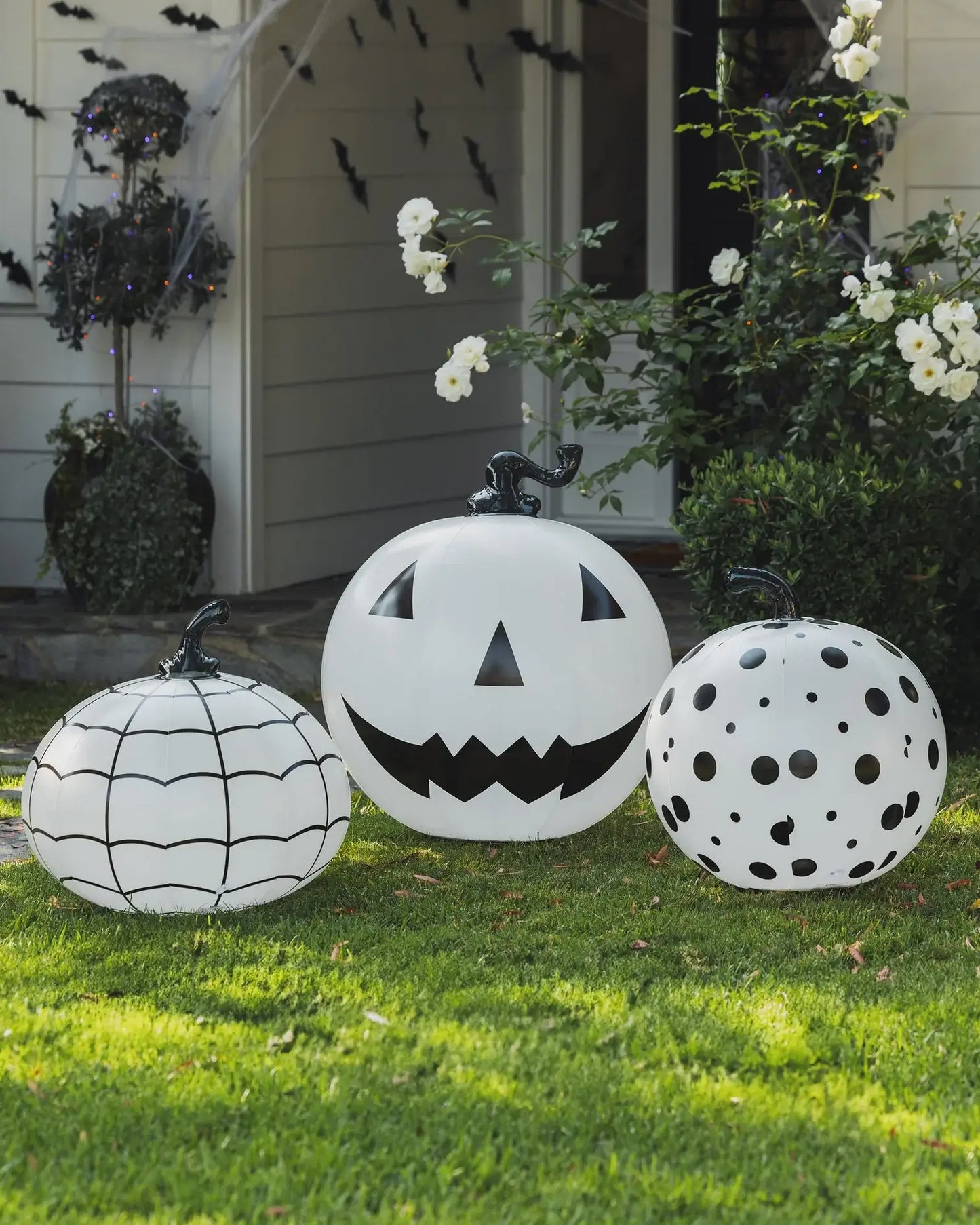 Black and White Halloween Pumpkins